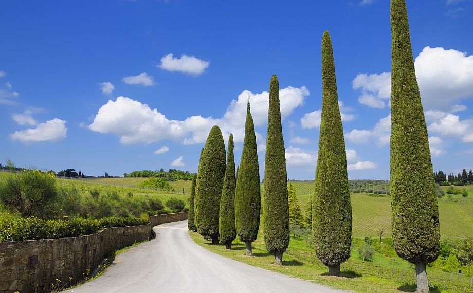 Scenic Italian Lanscape