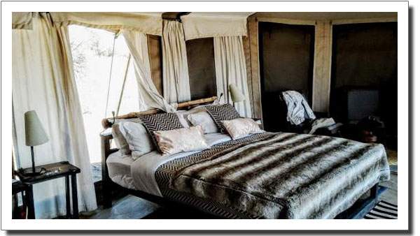 Comfortable bedroom inside an under-canvas safari camp