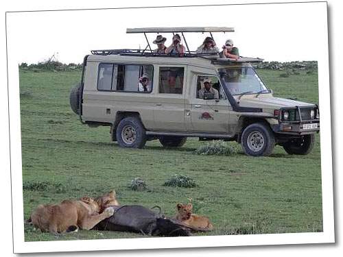 Open-sided safari vehicle ready for a guided game drive