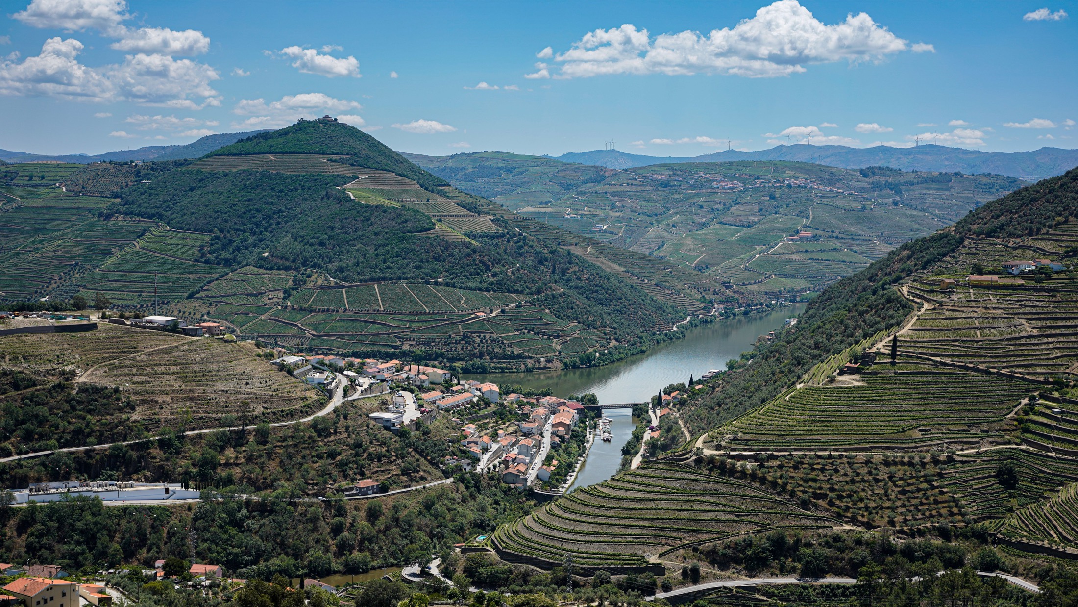 Terraced vineyards descending toward the Douro River