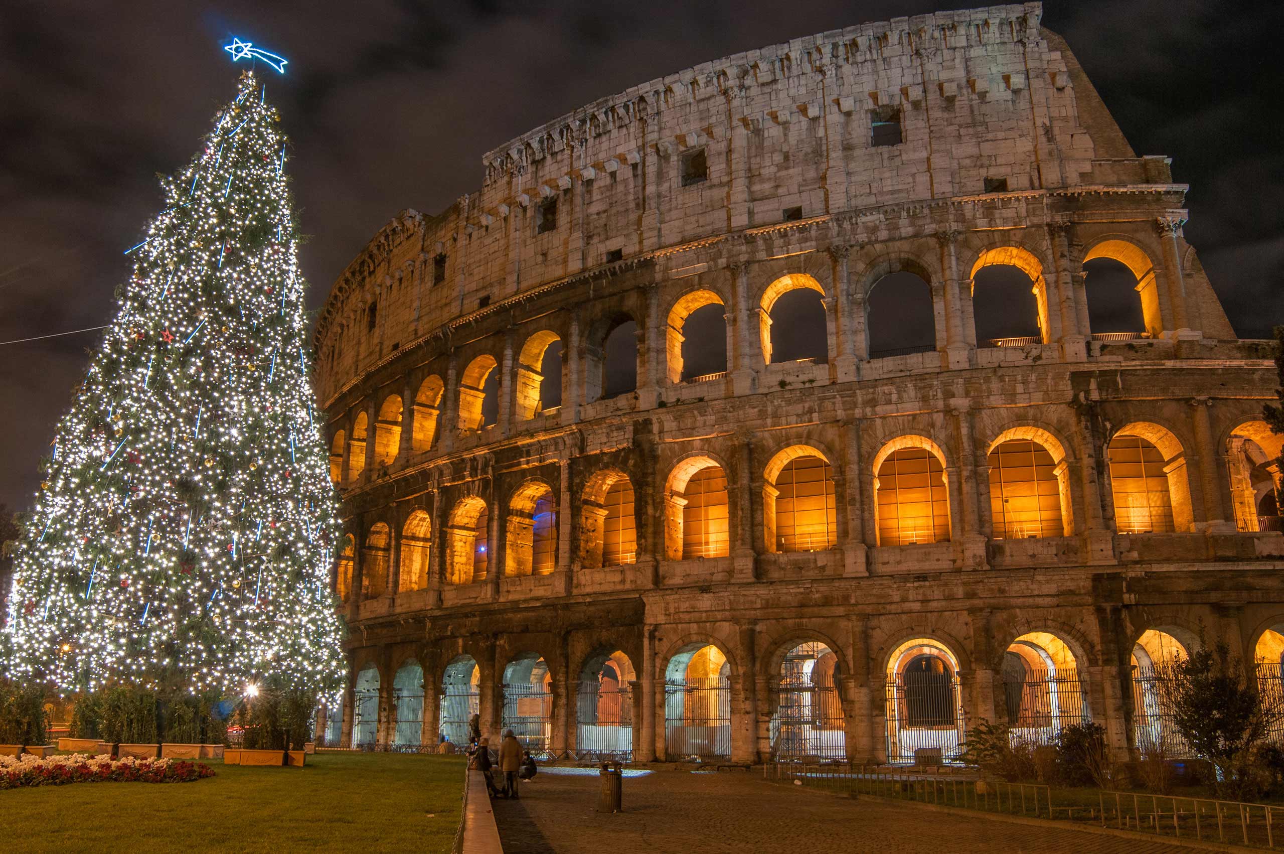 The Colosseum and a Christmas tree illuminated at night in Rome