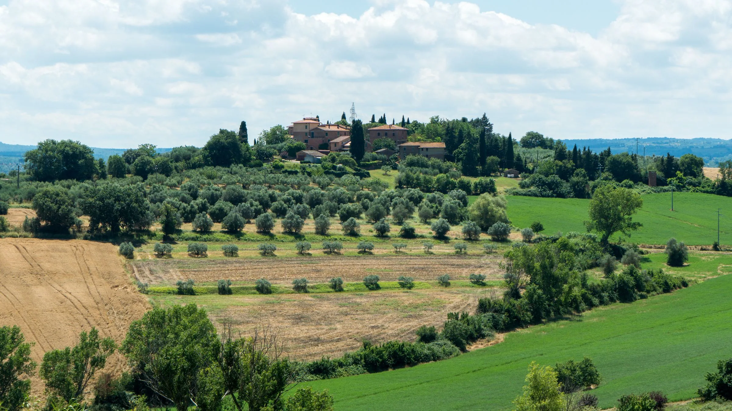 Olive groves and a hilltop village across the Umbrian countryside