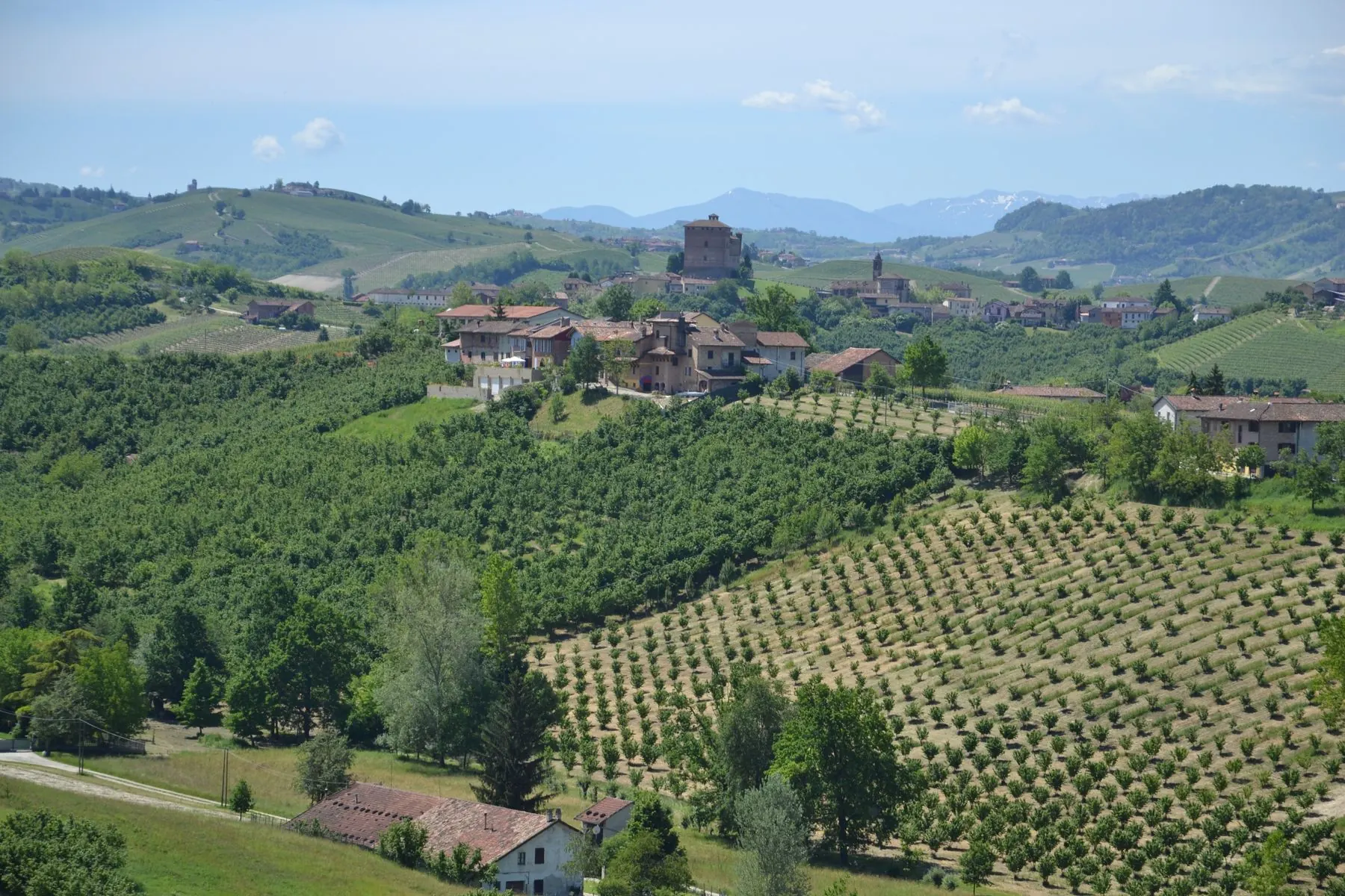 Vineyards and a hill town in the Langhe countryside