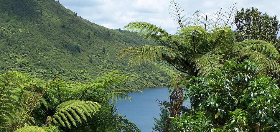 Geothermal landscape near Rotorua, New Zealand